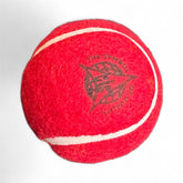 Sixer Tennis Cricket Ball